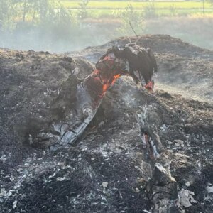 Edirne’de Tunca Nehri Kenarında Yangın
