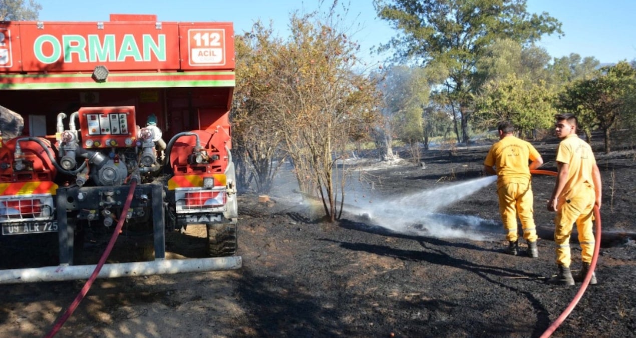 aydinda yangin zeytin agaclarini zarar gordu 8XfmZEHC