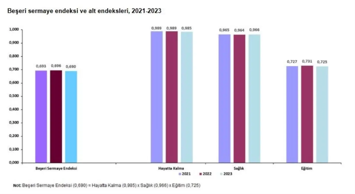 beseri sermaye endeksi 2023te 0690 HcKRmQAz