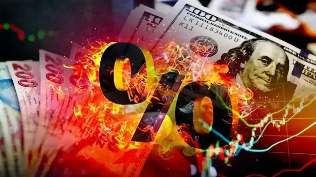doviz faiz vurgununa milli fren sart maliyenin denetimsizligi spekulatorun cebini dolduruyor KztItf6v