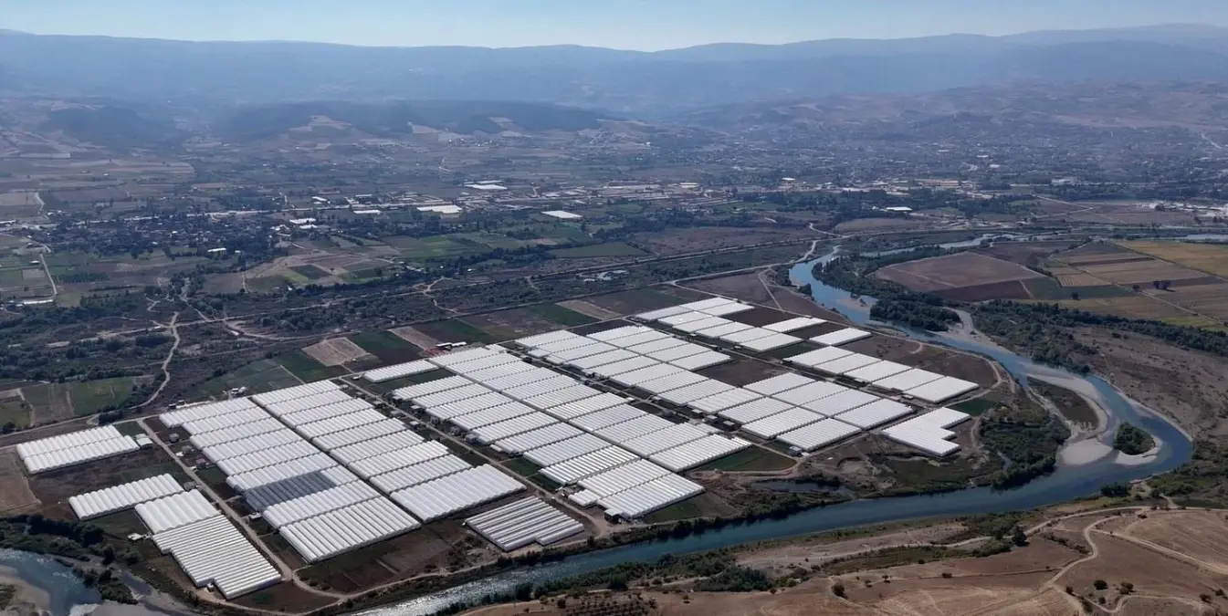 erbaada kesme cicek uretimi artiyor 7ZeNBqiD