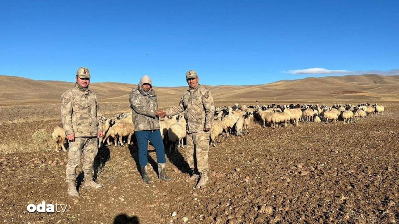 kayip 300 koyunu iha buldu kz6665FM