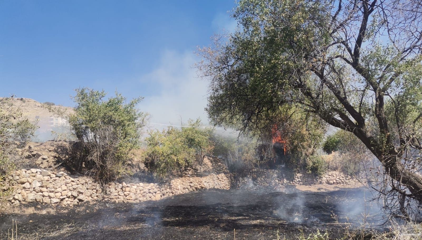 mardinin 2 ilcesinde ortu yangini vzdZFrAb