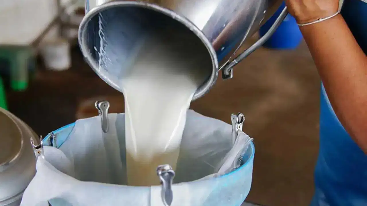 ulusal sut konseyi acikladi cig sut fiyatlarina zam geldi xA85pgCA