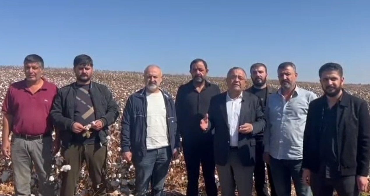 chpli tanrikulu destek verilmezse pamuk uretimi sifira dusecek MIU5kpIF.jpg