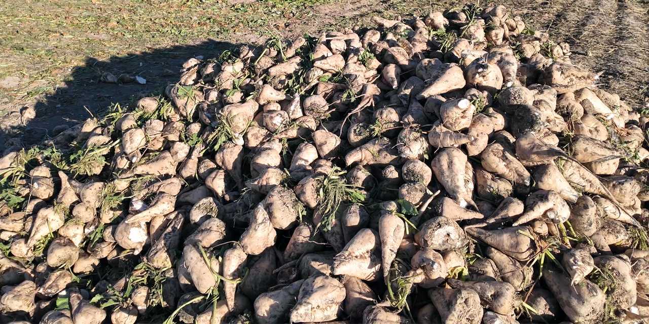 o da bitme noktasina geldi agiz tadi kaciracak 5FeLnuba