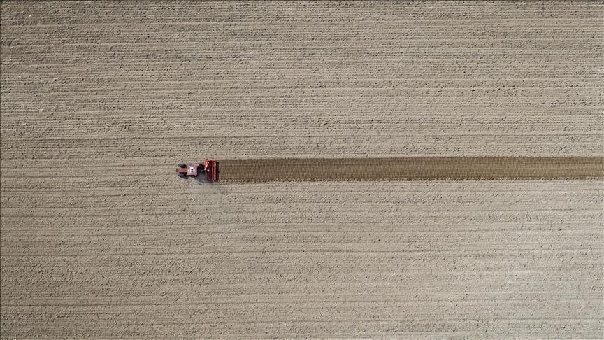 tarim ufe eylulde artti 46w3R5Wr.jpg