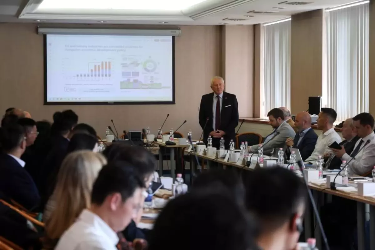 macaristan ile cin batarya geri donusumunde isbirligi yapiyor nbmnI9Uw.jpg