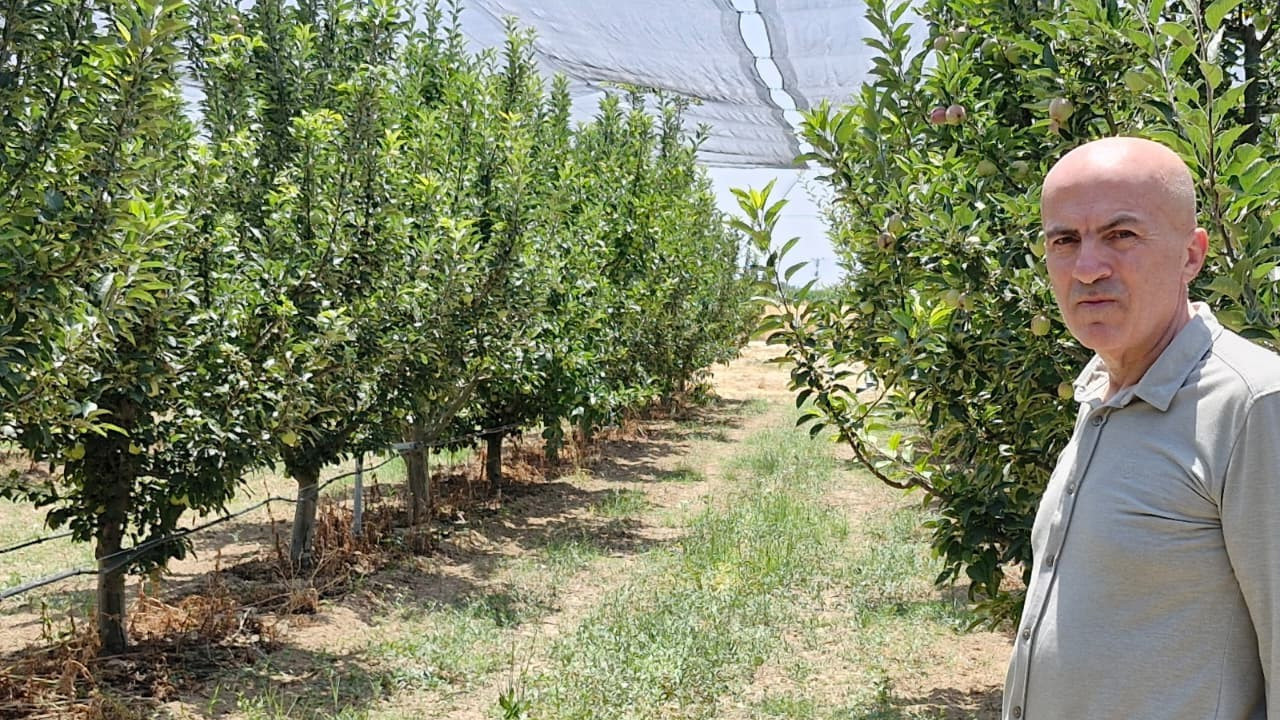 Hasat donemi yaklasiyor ciftciyi bekleyen buyuk tehlike karamanda elma bereketi tm27uVyK